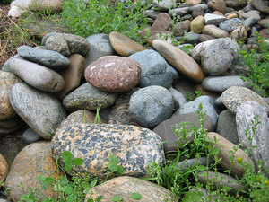 Сбор камней в природе для вашей бани