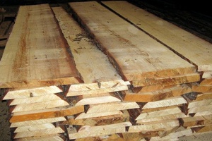 Правила выбора древесины для изготовления банных дверей